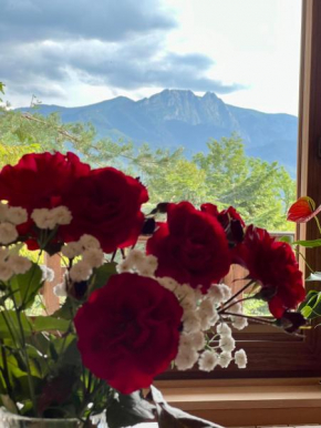 Domek Olczyski Zakopane